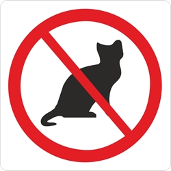 Katte  forbudt